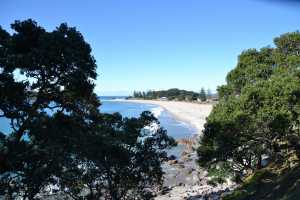 MT-MAUNGANUI(004)